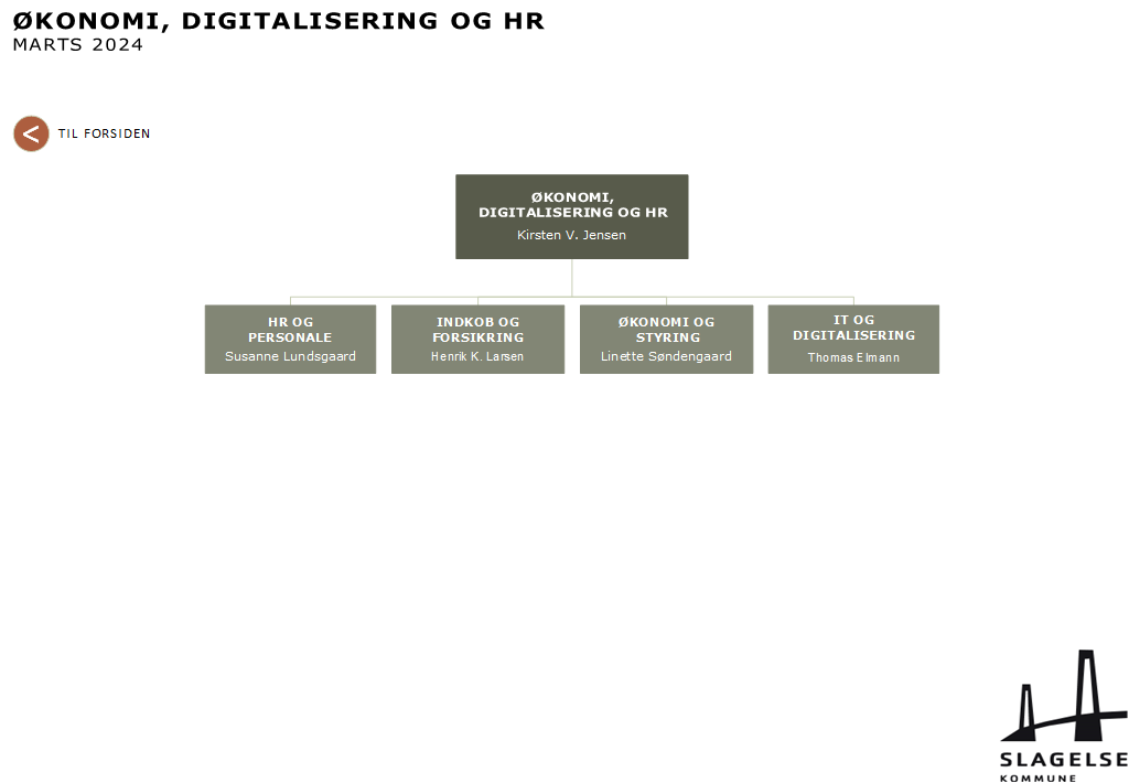 Økonomi, Digitalisering og HR