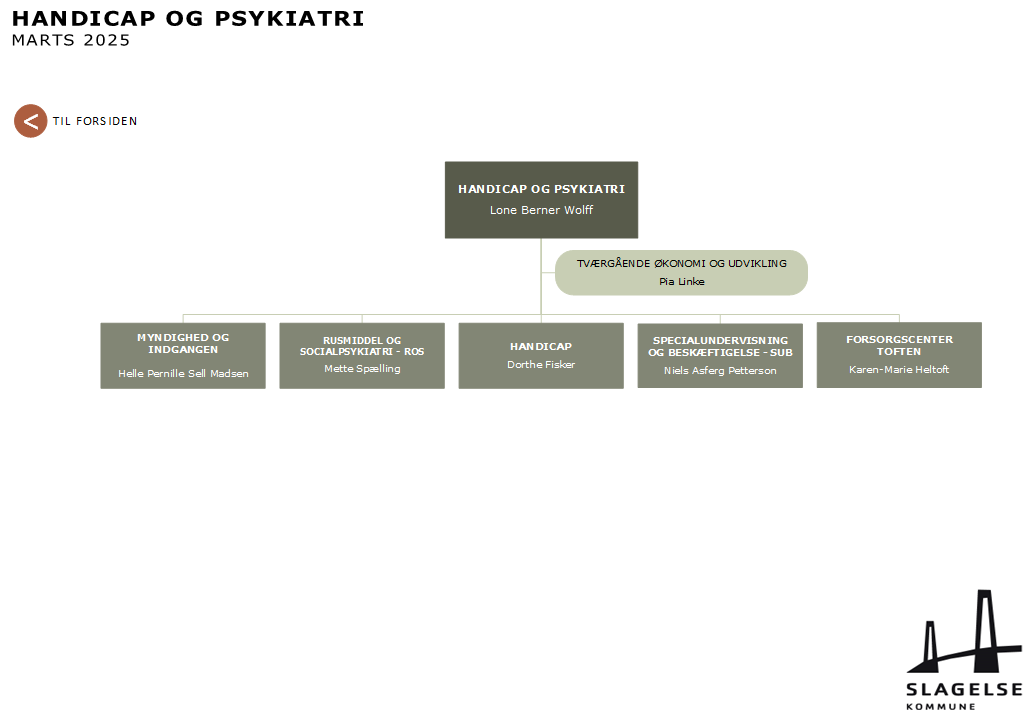 Handicap og Psykiatri